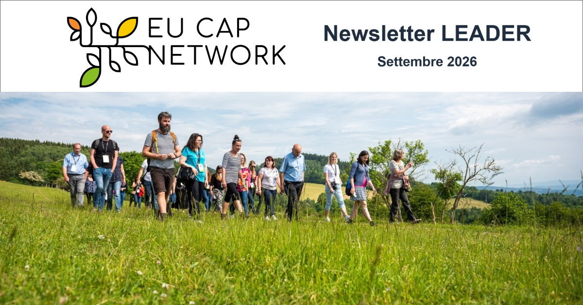 immagine newsletter
