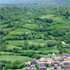Stemma regione Basilicata