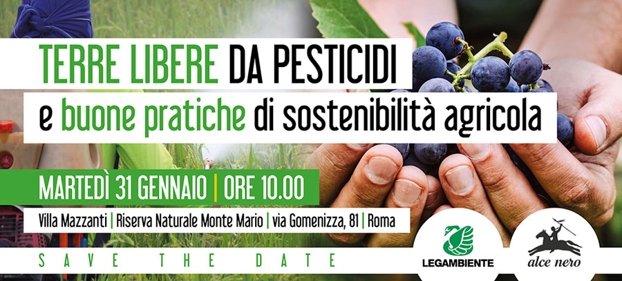 Logo Rete Rurale nazionale