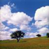 paesaggio con nuvole