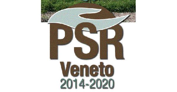 Logo Regione Veneto