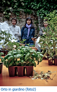 Orto in giardino (Foto 2)