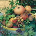 immagine composizione di frutta