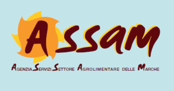 copertina documento