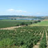 immagine rurale