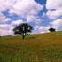 clima