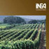 foto copertina
