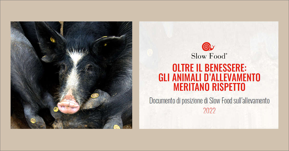immagine notizia