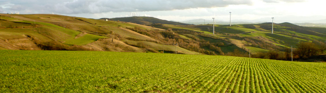 paesaggio rurale Italia