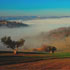 Paesaggio