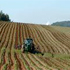 azienda agricola
