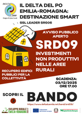 immagine notizia