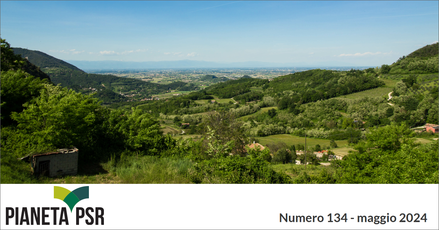 immagine notizia