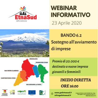 locandina webinar