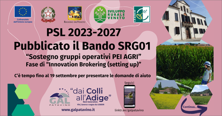 immagine notizia