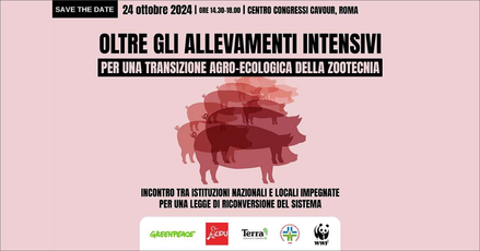 immagine notizia