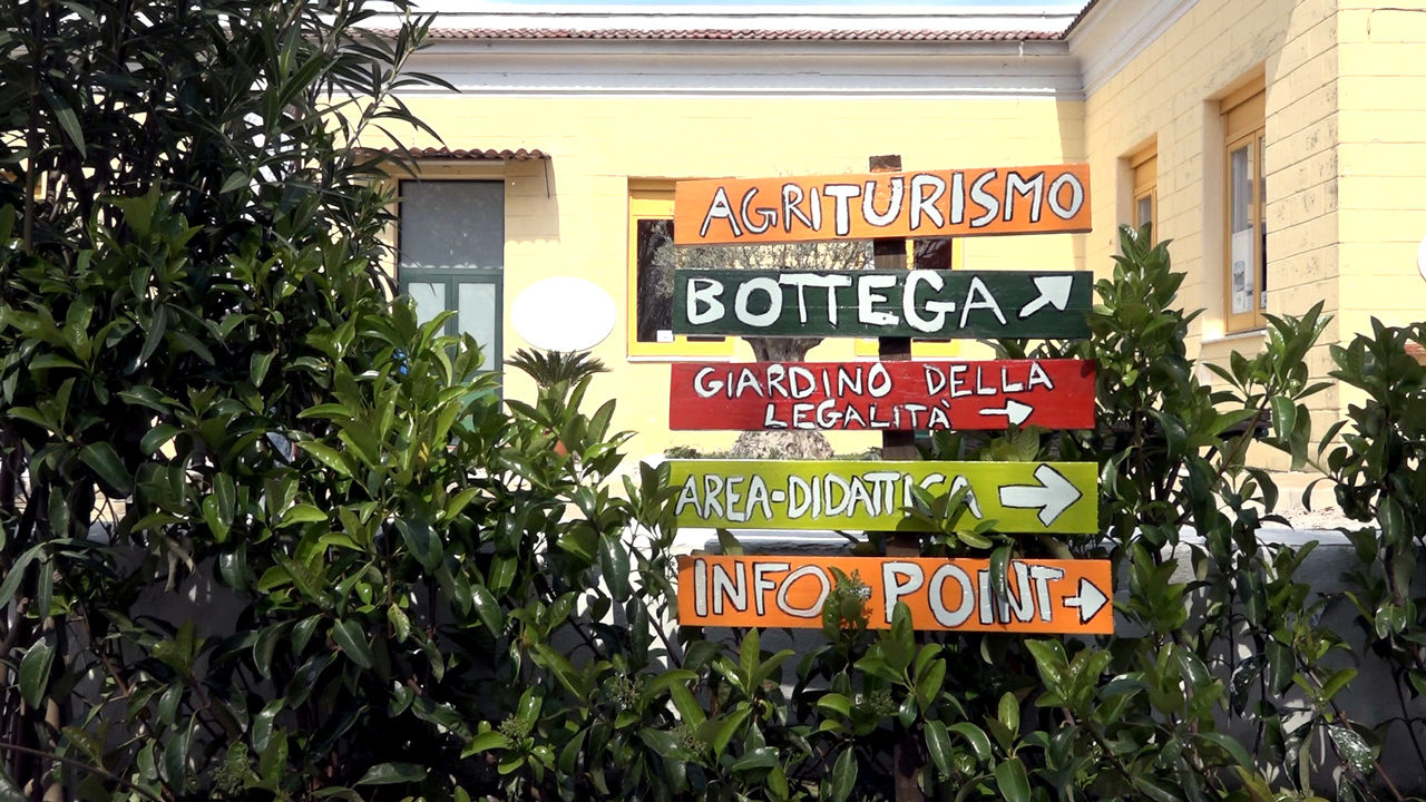 Azienda Agricola Il fiore della vita