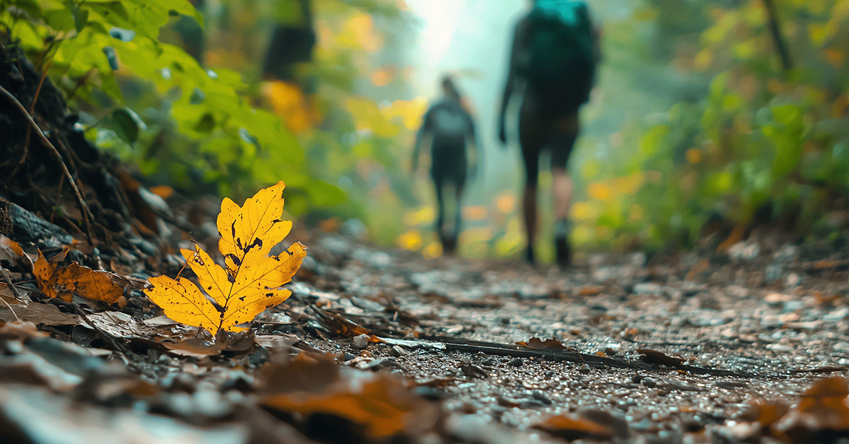 cover locandina evento