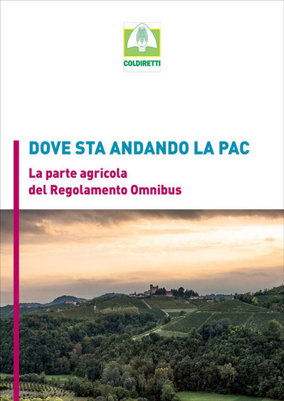 Copertina del documento