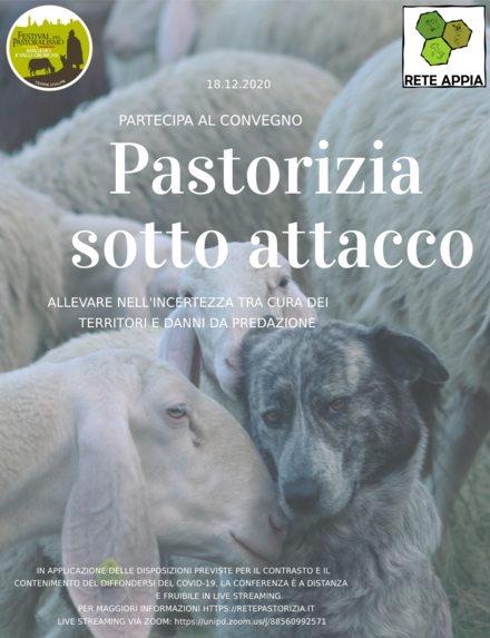 immagine notizia