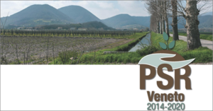 Logo PSR 2014-2020 Regione Veneto