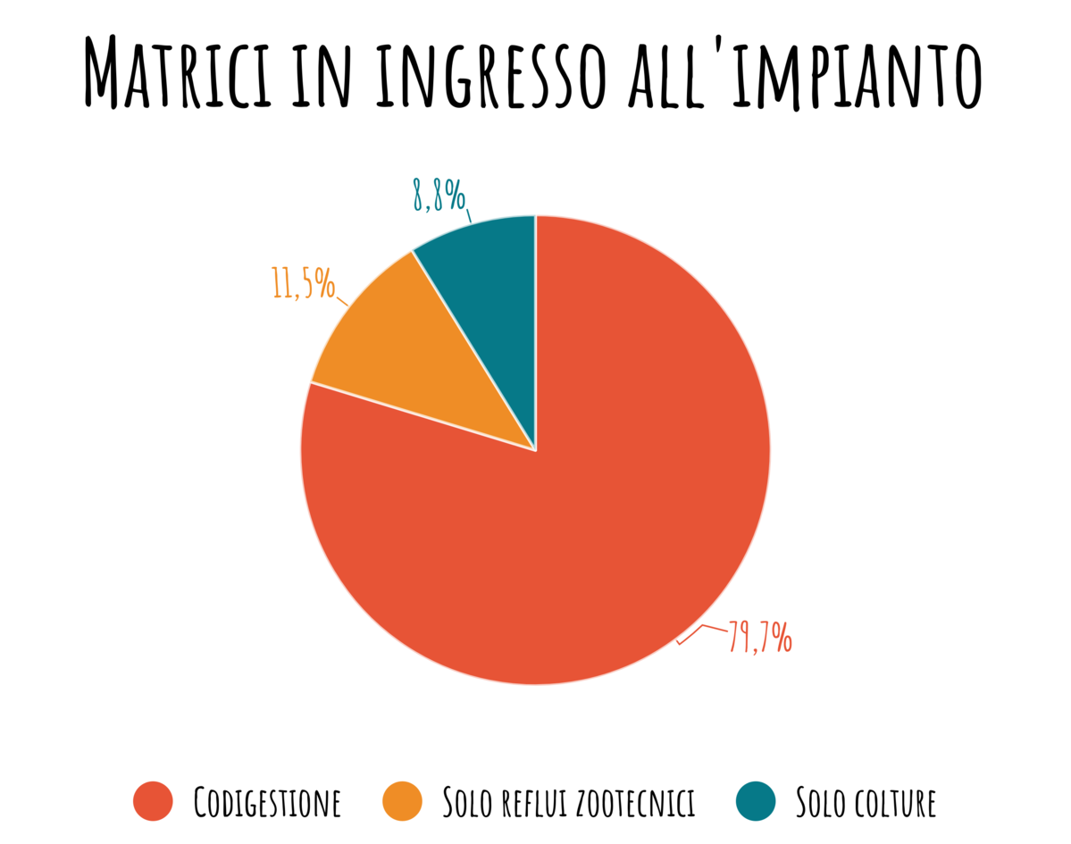 MATRICI IN INGRESSO ALL'IMPIANTO