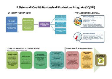 diagramma di flusso