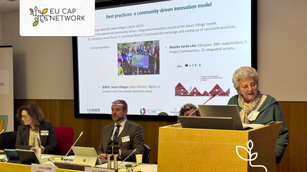 Roberta Ciaravino - CREA-PB Rete Leader - al IV incontro Subgroup LEADER