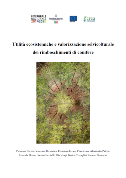 copertina documento conifere