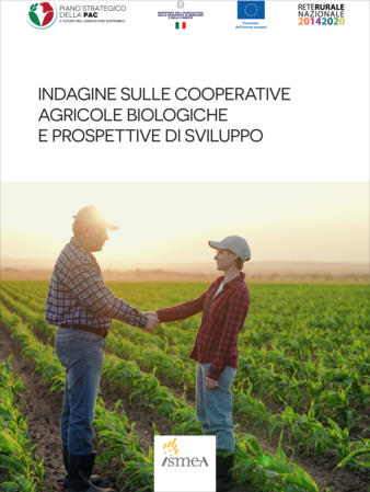 cover documento