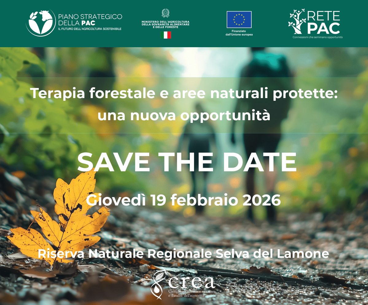 cover locandina evento