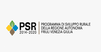 Programma evento