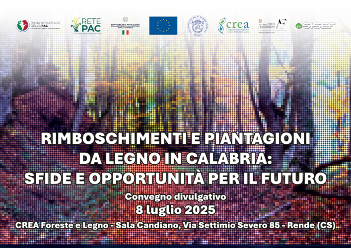 locandina evento