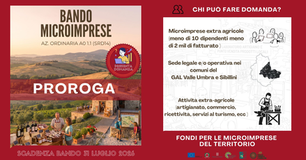 immagine notizia