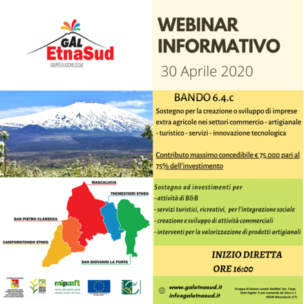 locandina webinar