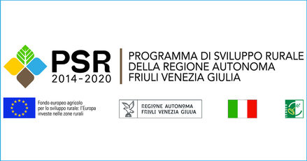 logo PSR Friuli Vevenzia Giulia