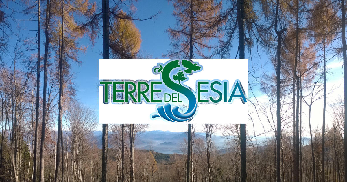 Logo GAL Terre del Sesia