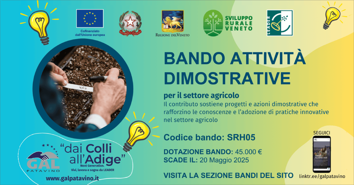 Immagine notizia