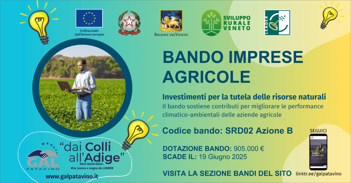 Immagine notizia