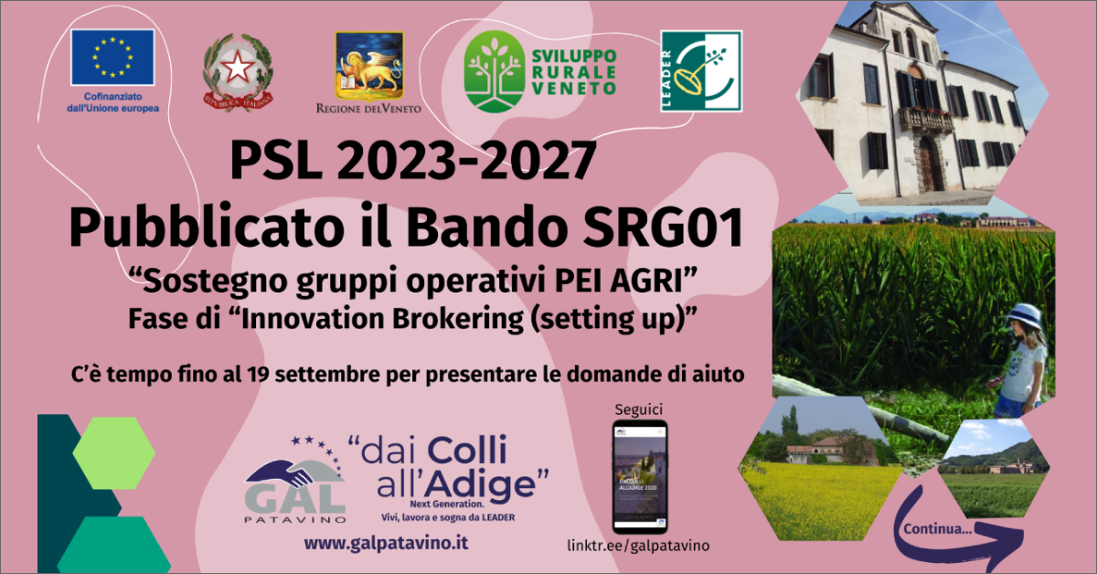 immagine notizia